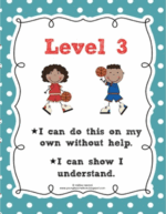 LevelsSports.png-3