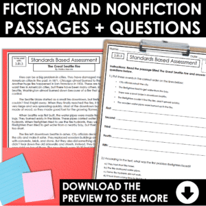 3rd Grade ELA Assessments and Teaching Notes