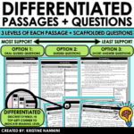 Reading Intervention Summarizing