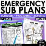 Emergency Sub Plans 5th Grade